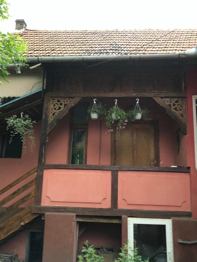 Cezara Apartamento Mediaş Exterior foto