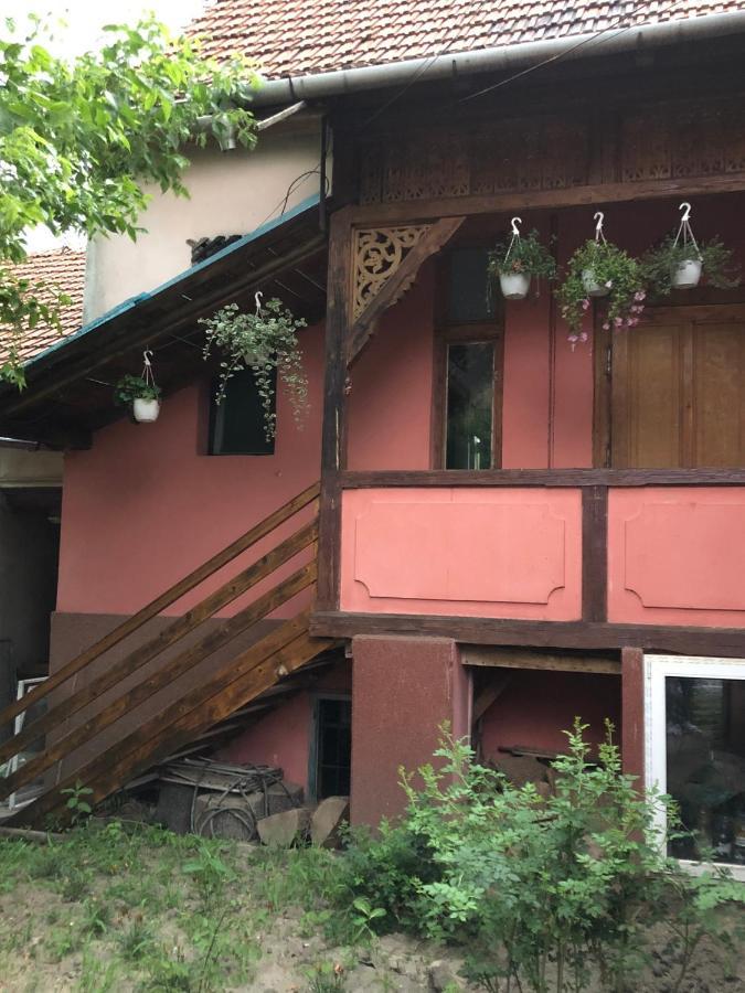 Cezara Apartamento Mediaş Exterior foto
